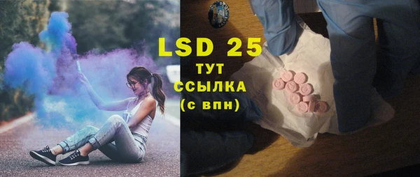 spice Бородино