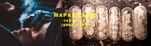 spice Бородино