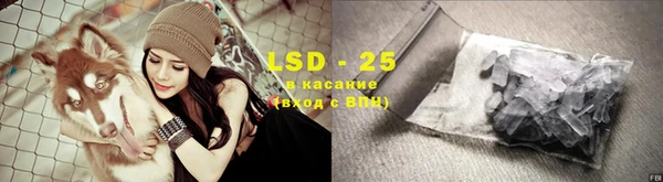 spice Бородино