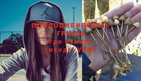 дурь Бугульма