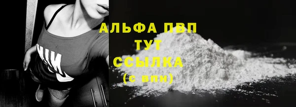 spice Бородино