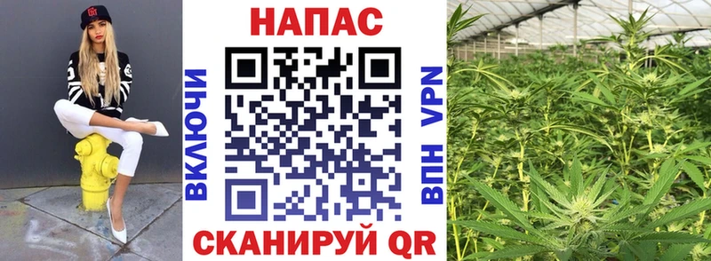 дарнет шоп Любань Шишки марихуана SATIVA & INDICA